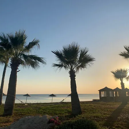 Relaxing Penthouse By The Sea