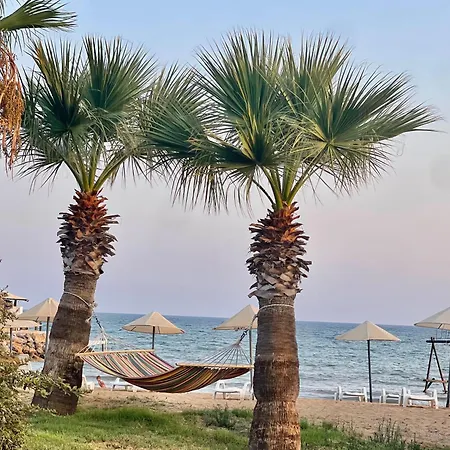Relaxing Penthouse By The Sea شقة