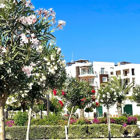 Lejlighed Relaxing Penthouse By The Sea *