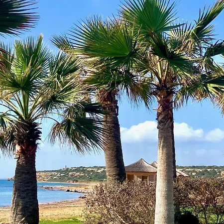 Relaxing Penthouse By The Sea Lejlighed