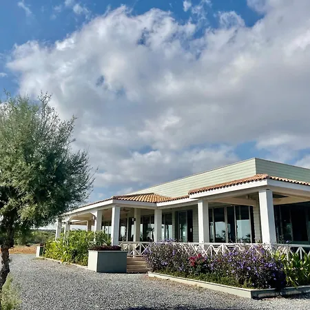 Relaxing Penthouse By The Sea *
