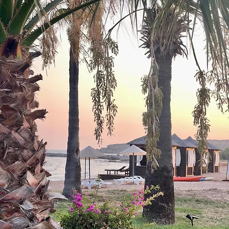 Relaxing Penthouse By The Sea *