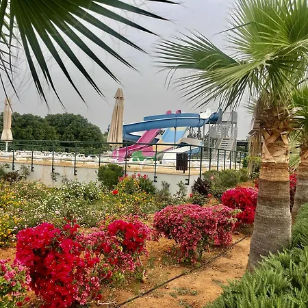 Relaxing Penthouse By The Sea