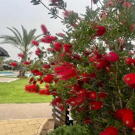 Lejlighed Relaxing Penthouse By The Sea *