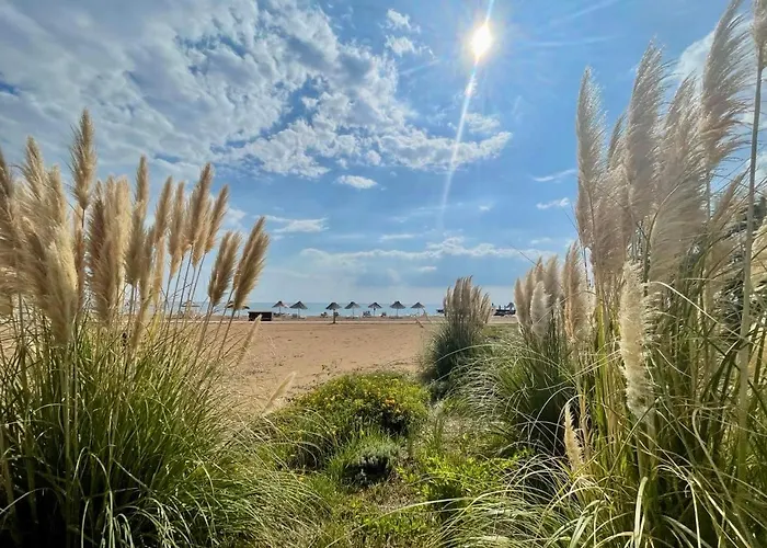 Relaxing Penthouse By The Sea