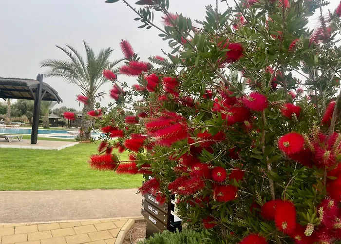 Apartamento Relaxing Penthouse By The Sea *